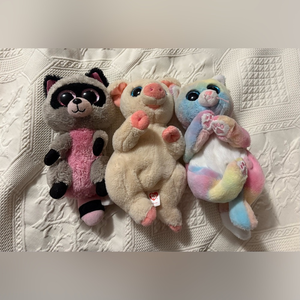 Lot of 3 TY Beanie Boos Raccoon Pig Cat